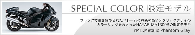 限定モデル