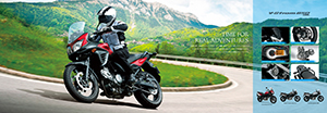 V-STROM650 ABS